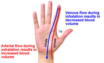origninal photograph of female hand &copy; Alx - Fotolia.com